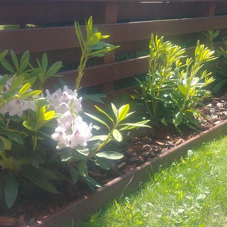 Apartament Jantar Z Ogrodem Колобжег Екстериор снимка